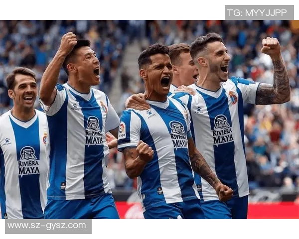 2017年埃弗顿对阵切尔西全景回顾精彩瞬间与战术分析